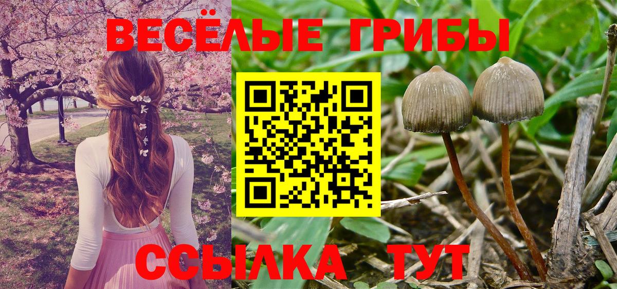 Псилоцибиновые грибы Cubensis  дарнет шоп  Кыштым  Вход с VPN 